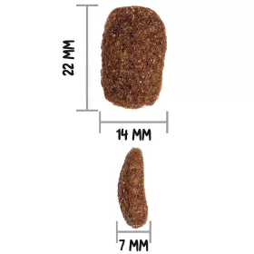 OWNAT CLASSIC DOG Complet 20kg