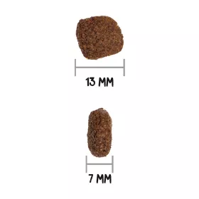 OWNAT GF PRIME DOG Senior Chicken & Turkey 12kg