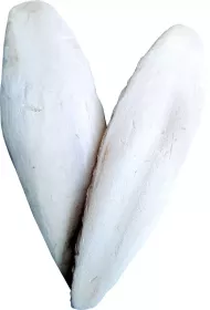 Vitamínová a minerální krmiva